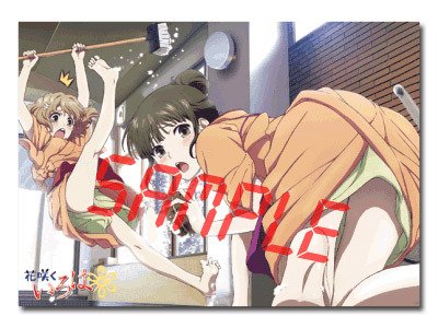 Amazon.co.jp: クワッドエレメンツ 超3Dポスター 花咲くいろは 「緒花